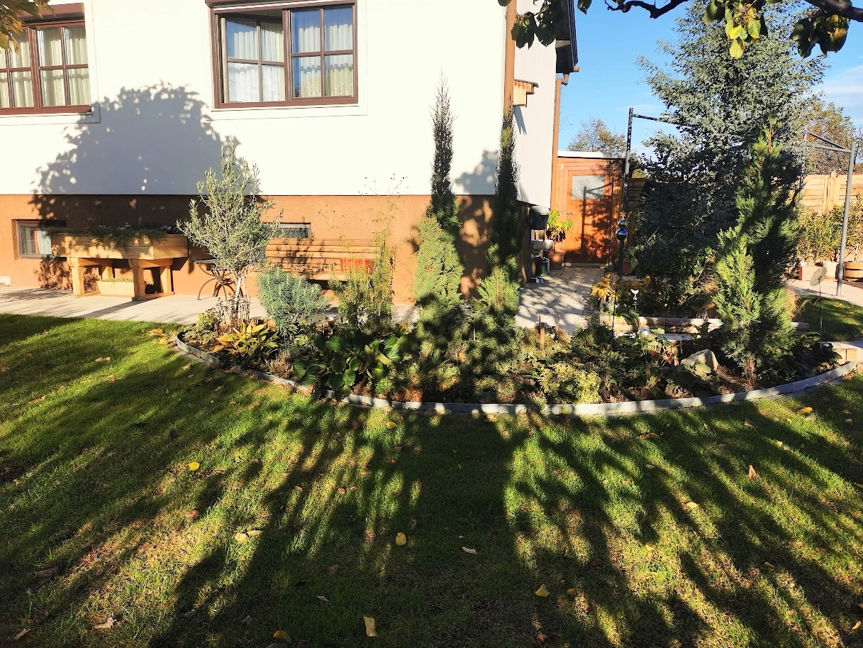IMG_20231106_083610.webp