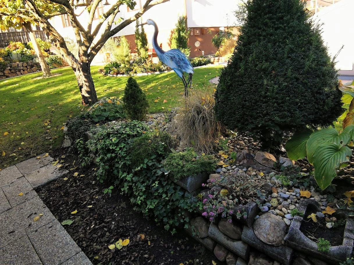IMG_20231106_083735.webp