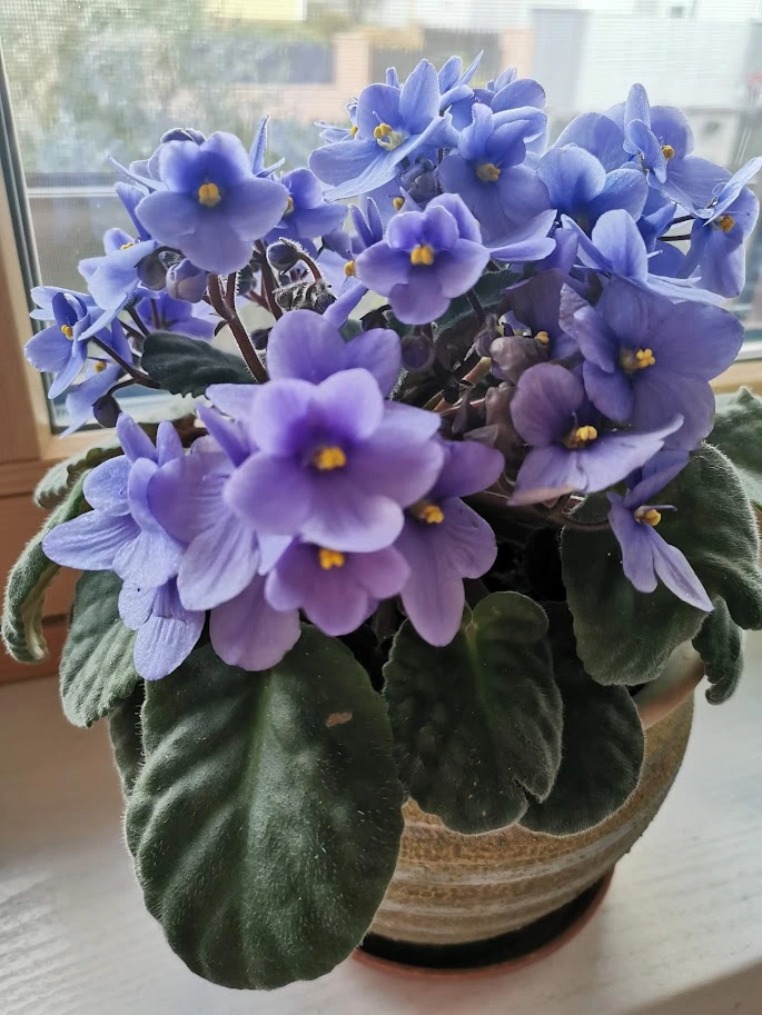 IMG_20231115_150228.webp