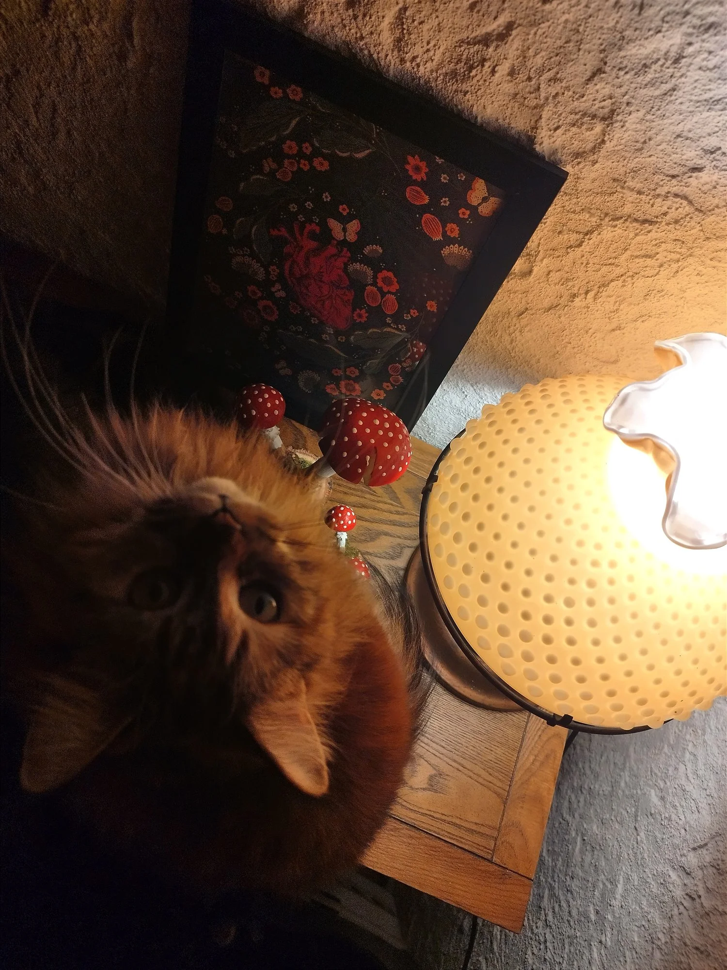 IMG_20240320_193137.webp