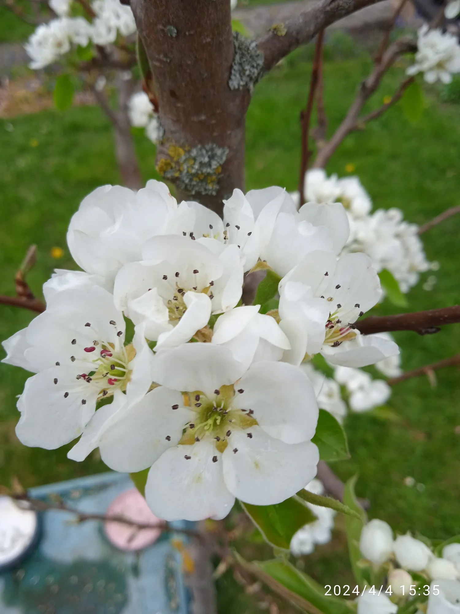 IMG_20240404_153554.webp
