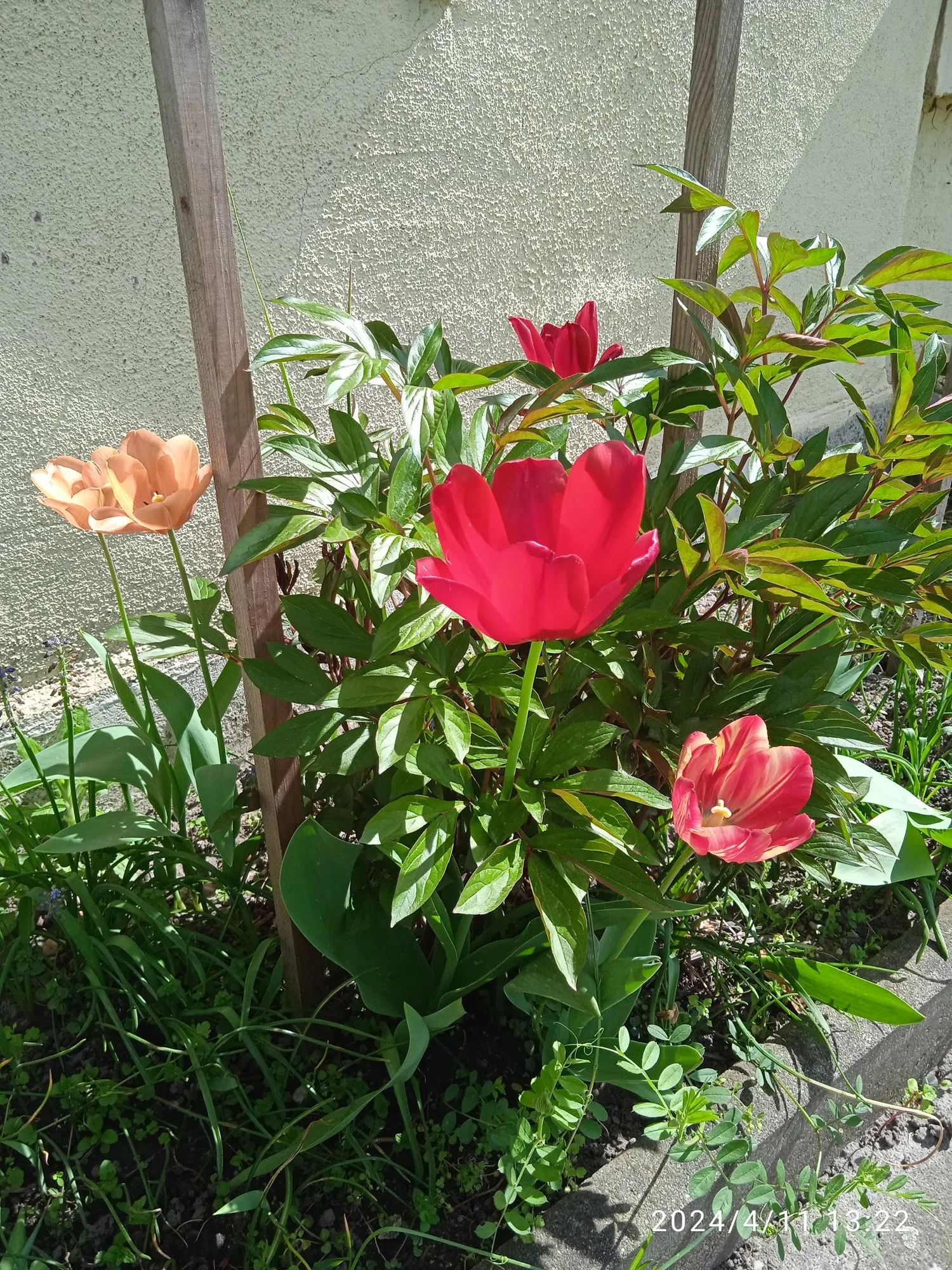 IMG_20240411_132201.webp