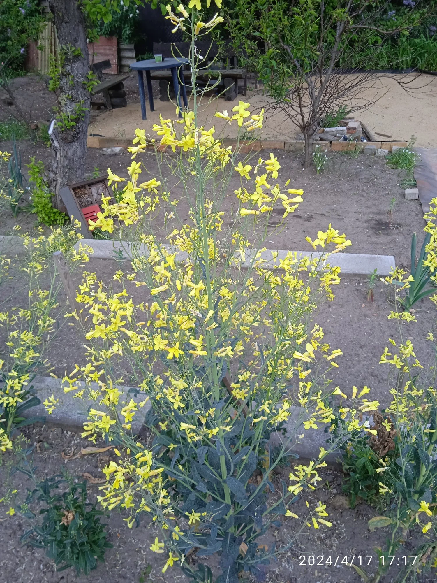 IMG_20240417_171743_1.webp