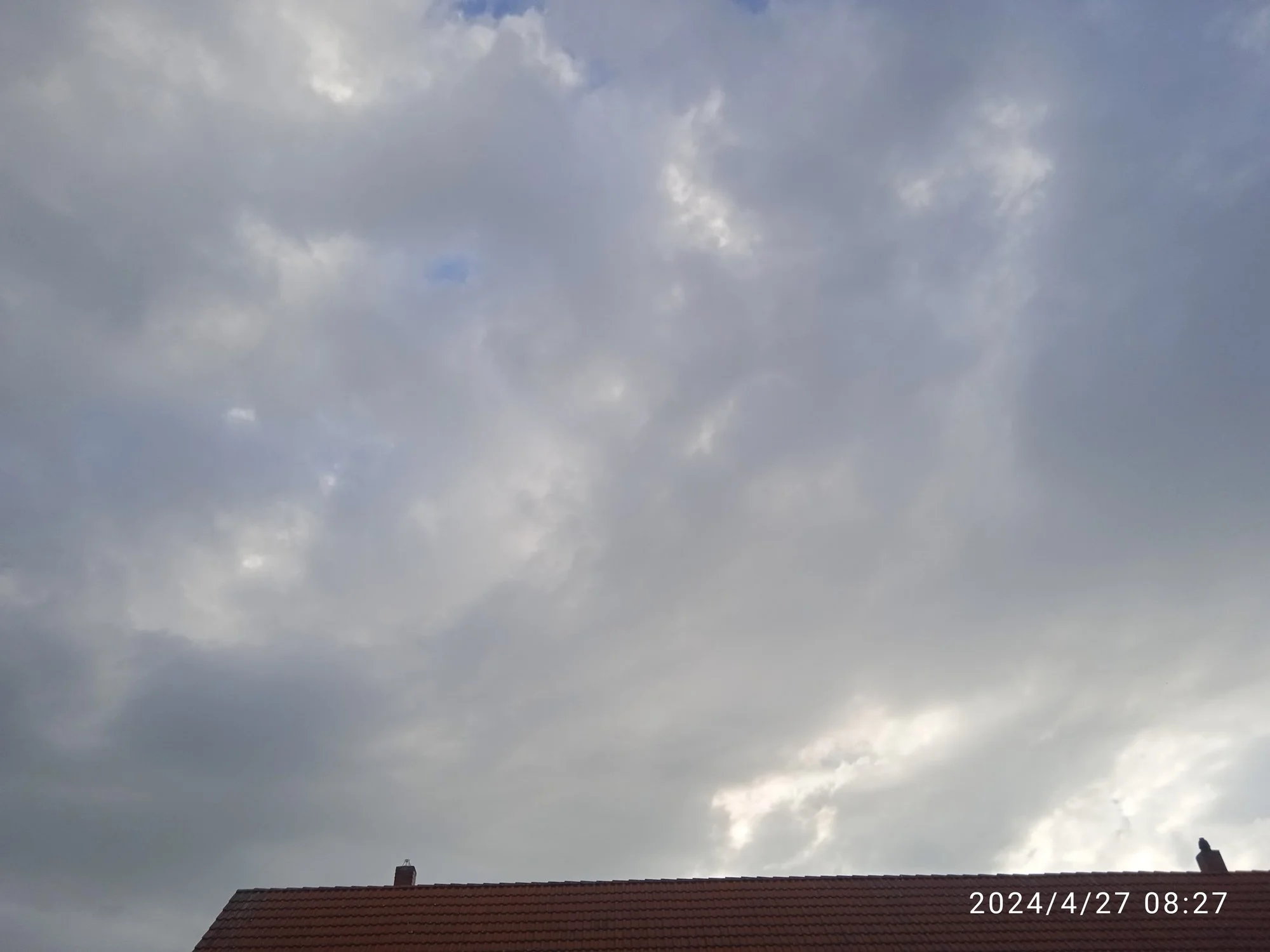 IMG_20240427_082740.webp