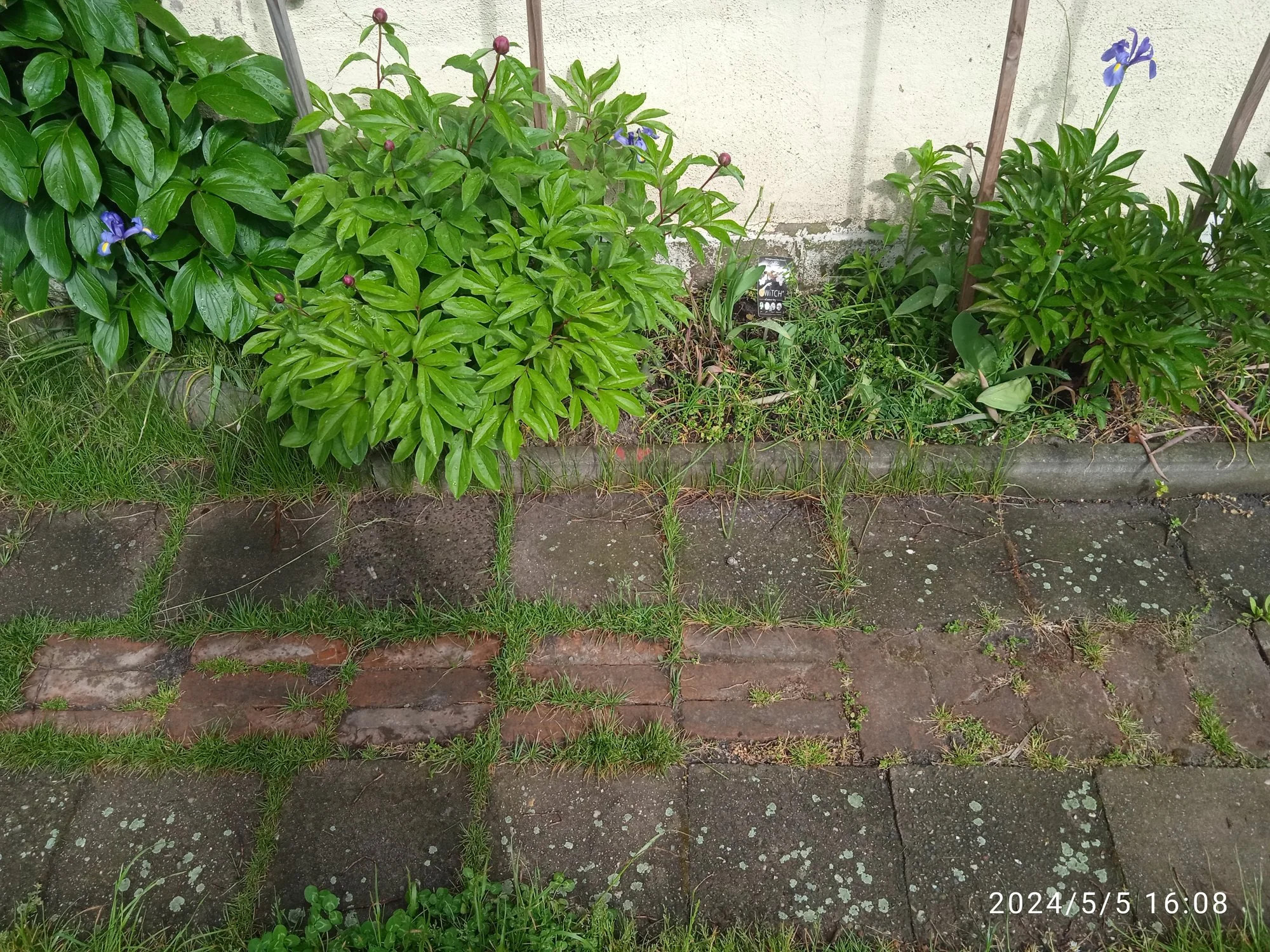 IMG_20240505_160858_1.webp