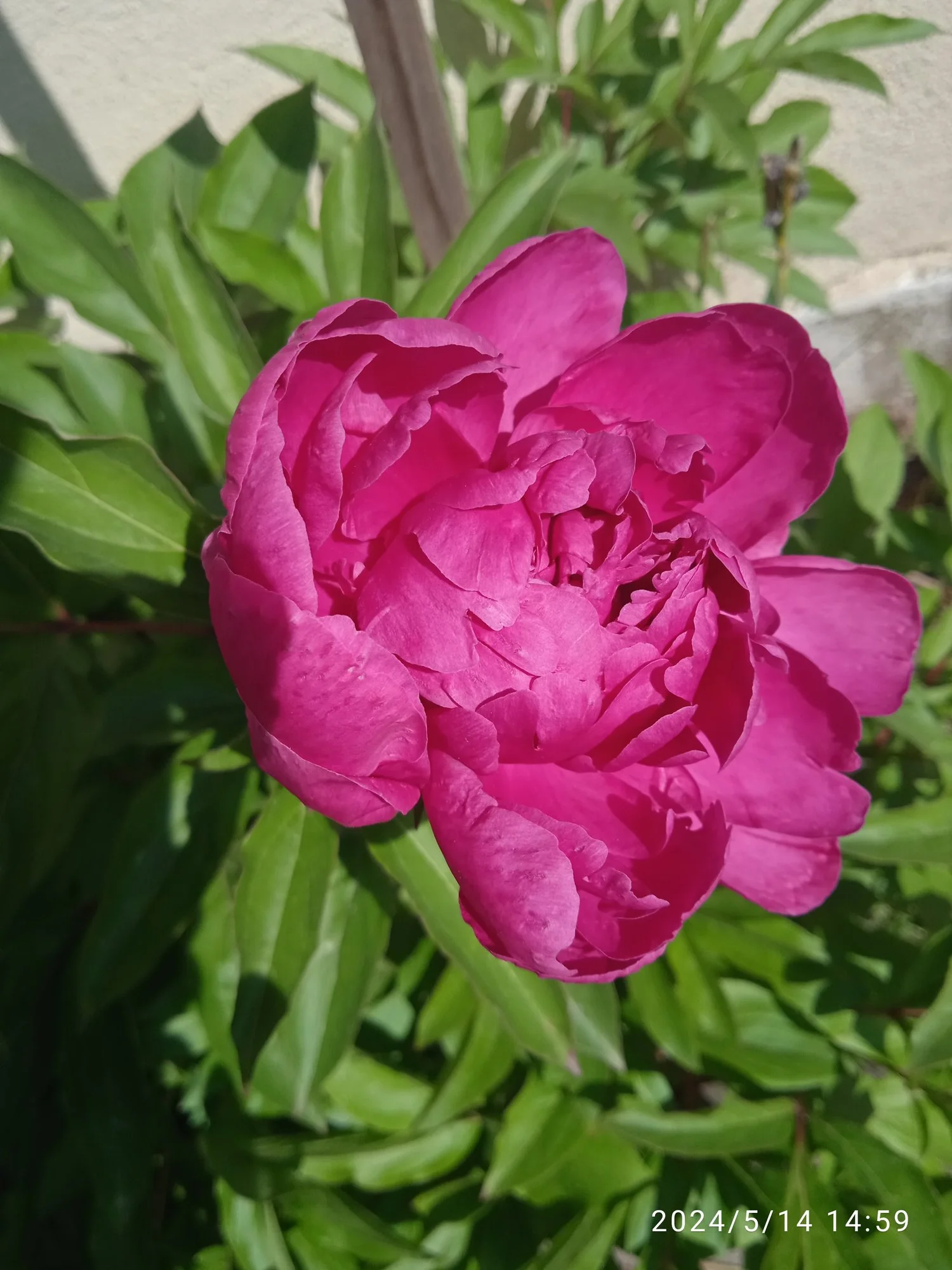 IMG_20240514_145950_1.webp