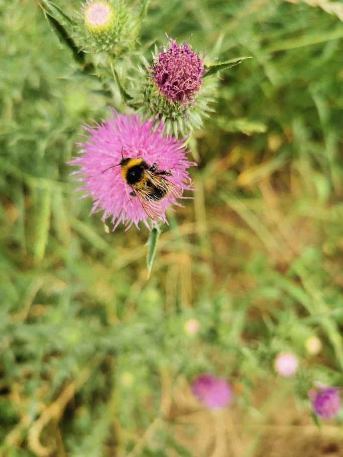 IMG_20240701_161401.webp