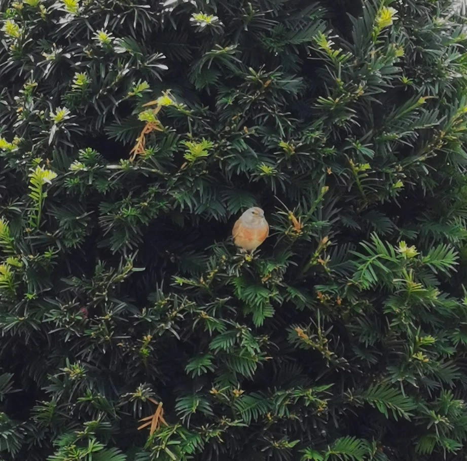 IMG_20240721_124712 (1).jpg