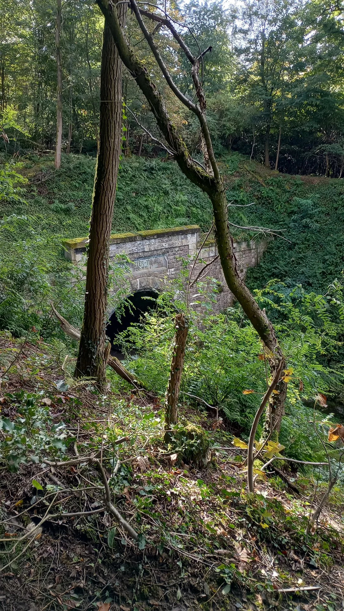 IMG_20240929_125252679_HDR.webp
