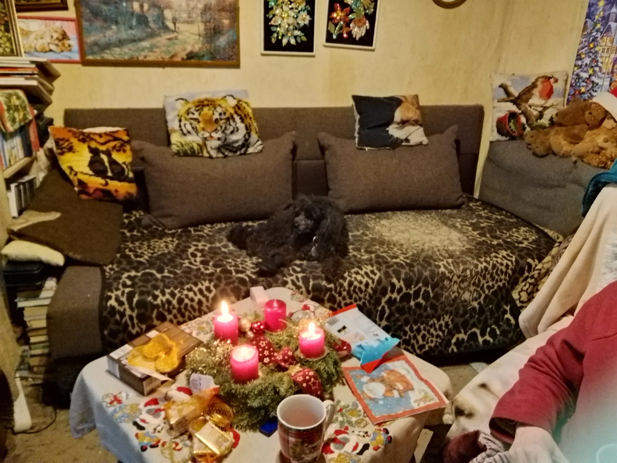 IMG_20241215_150247_HDR.webp