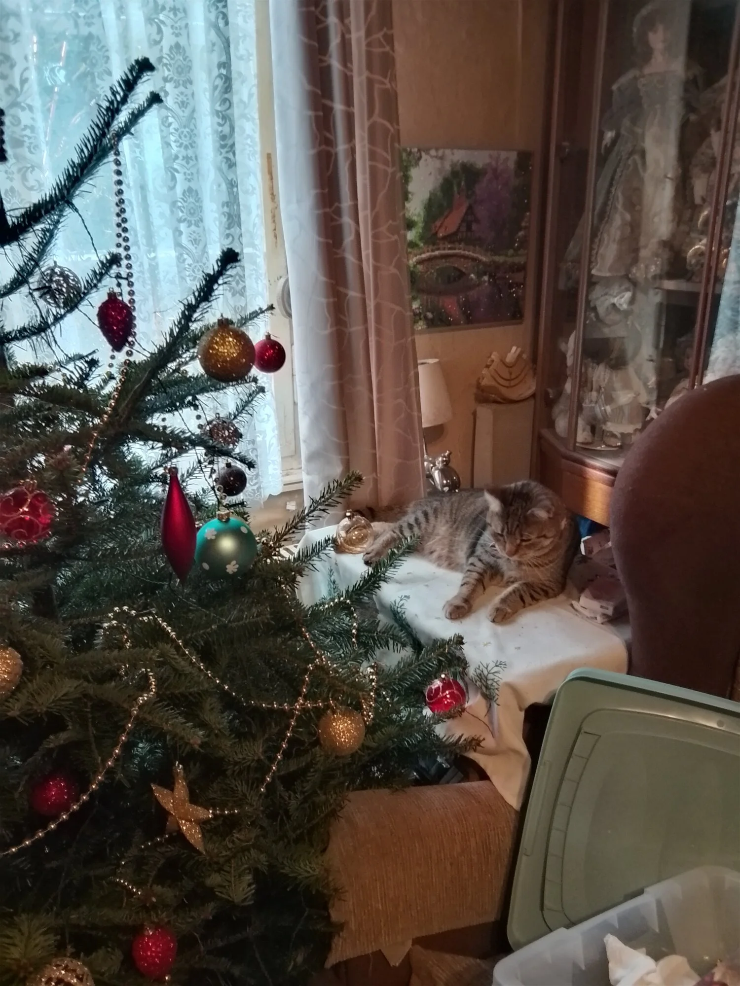IMG_20241220_112349_HDR.webp