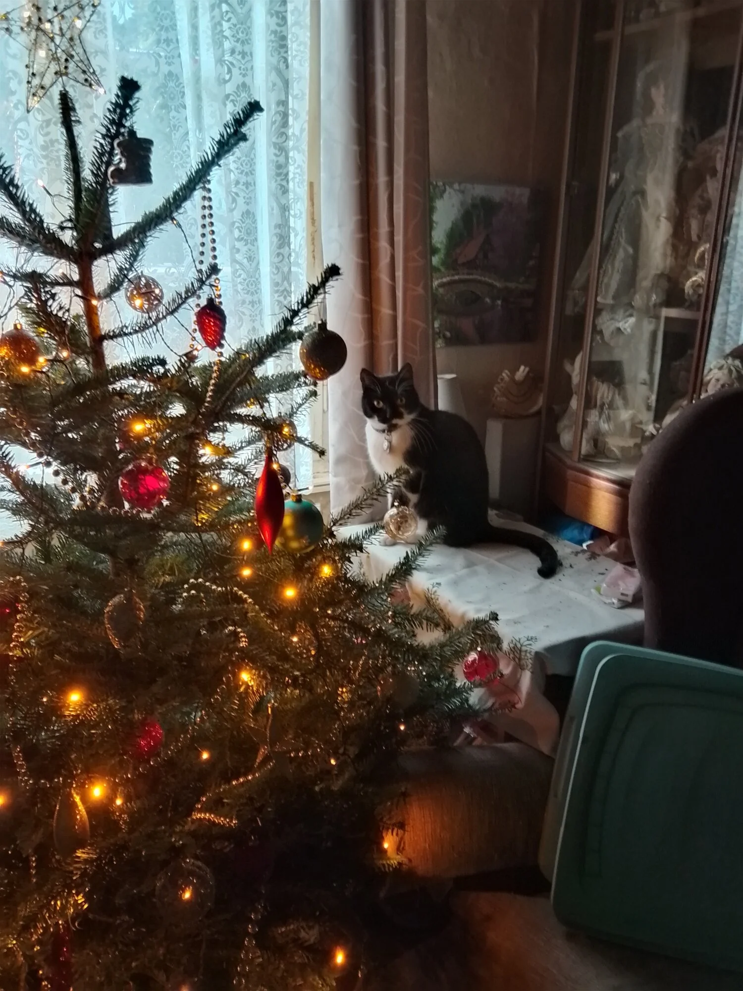 IMG_20241220_112643_HDR.webp