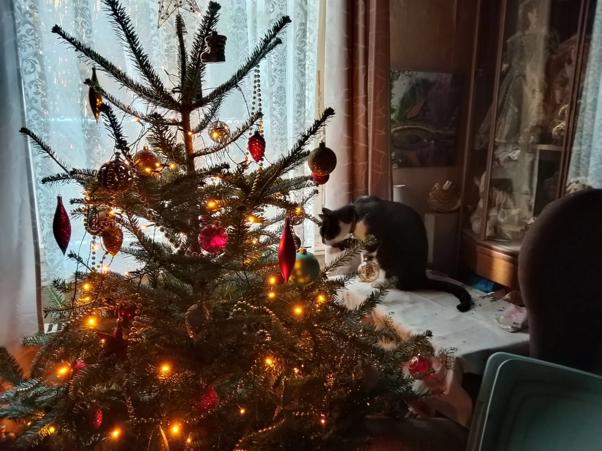 IMG_20241220_112649_HDR.webp