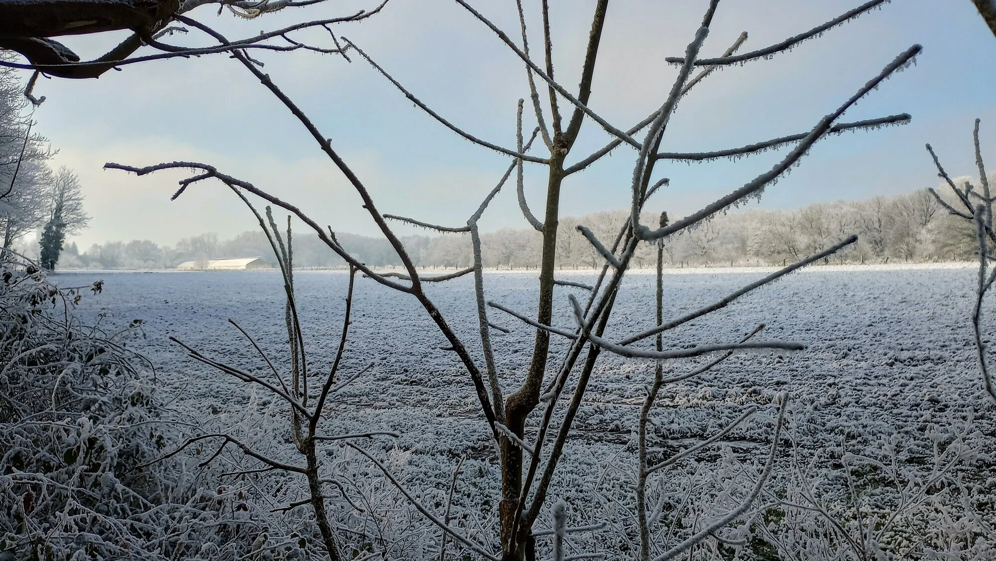 IMG_20250119_115410928_HDR (1).webp