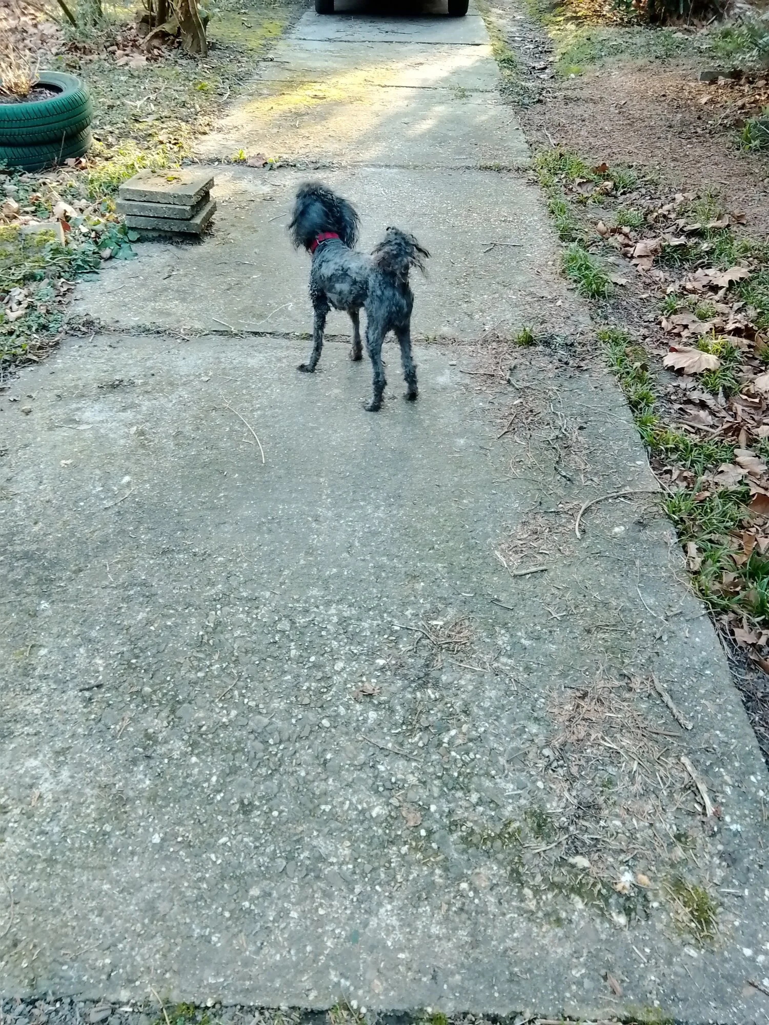 IMG_20250307_170615.webp