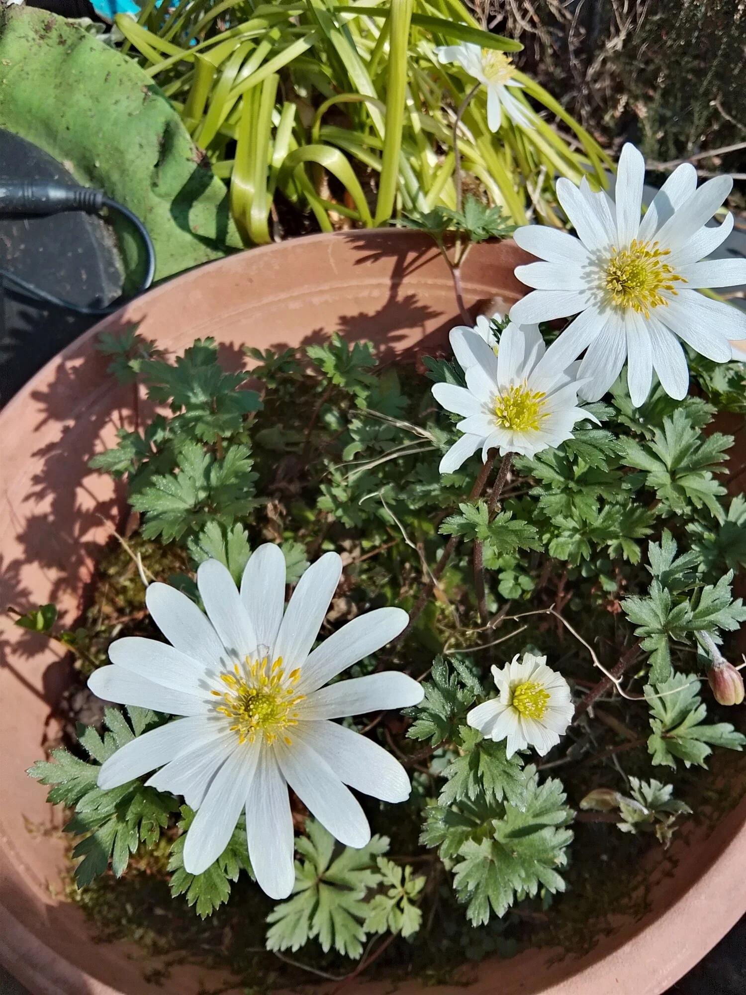 IMG_20250327_151629_HDR.webp