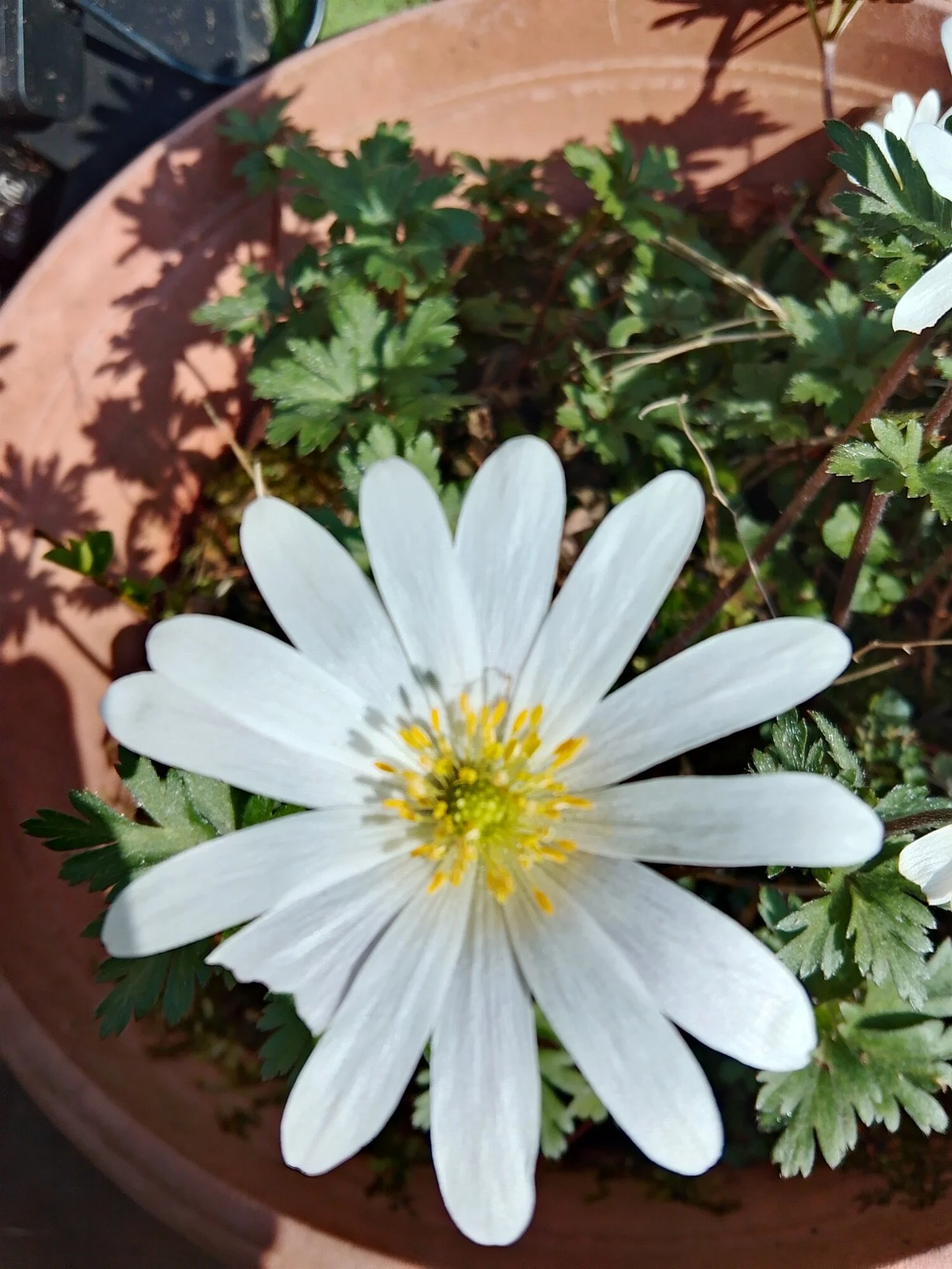 IMG_20250327_151644_HDR.webp