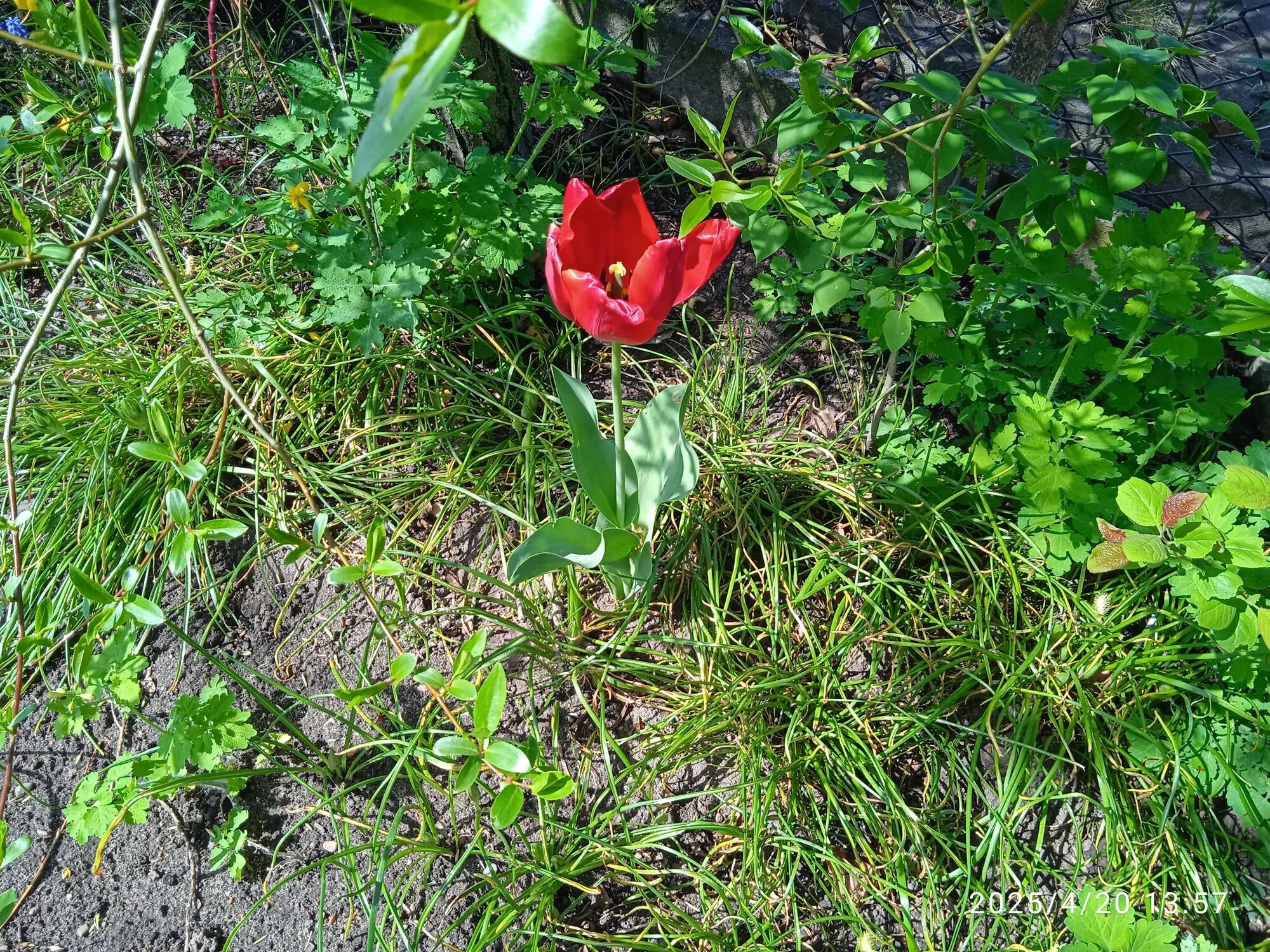 IMG_20250420_135749_1.webp