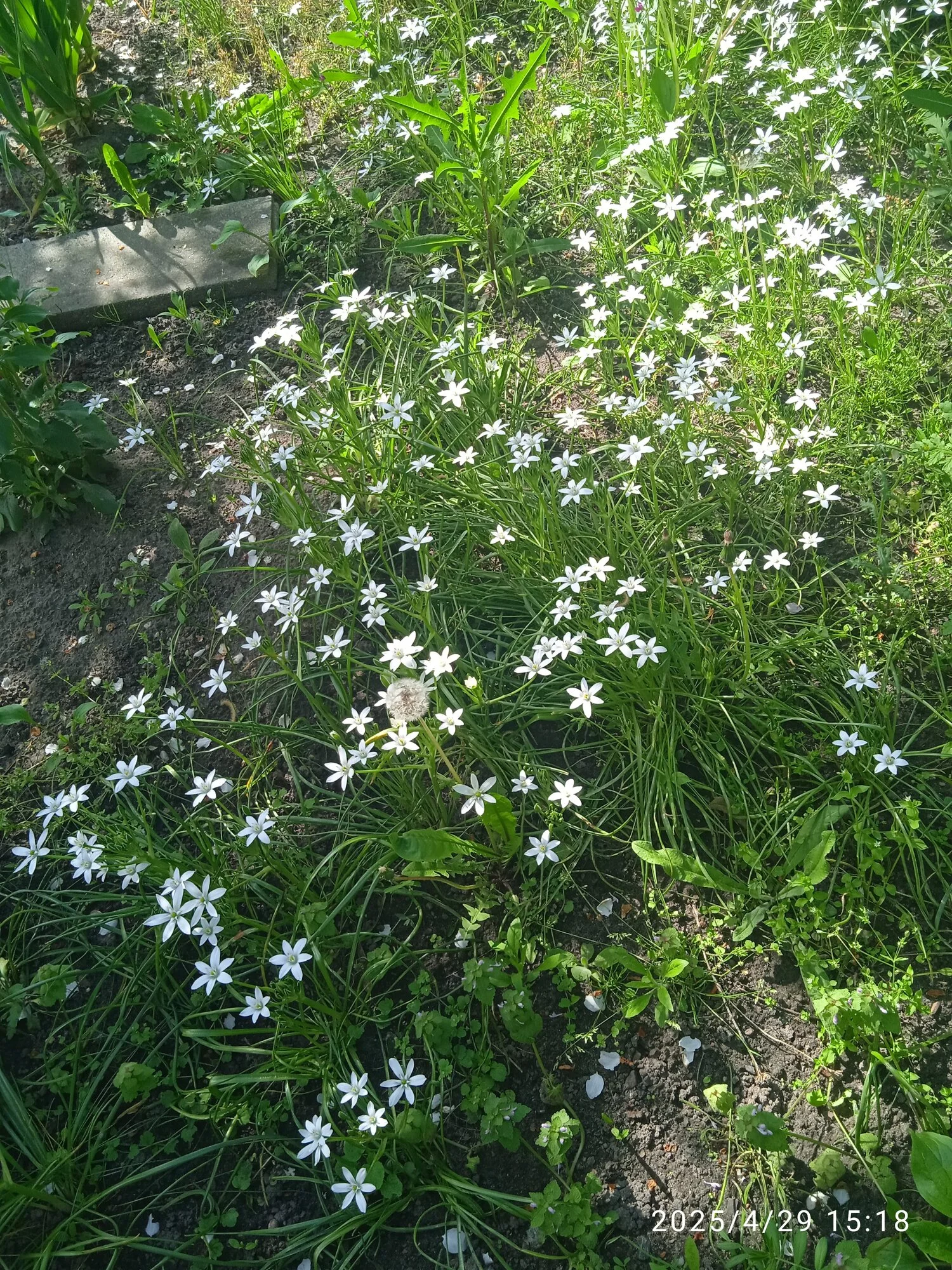 IMG_20250429_151824_1.webp