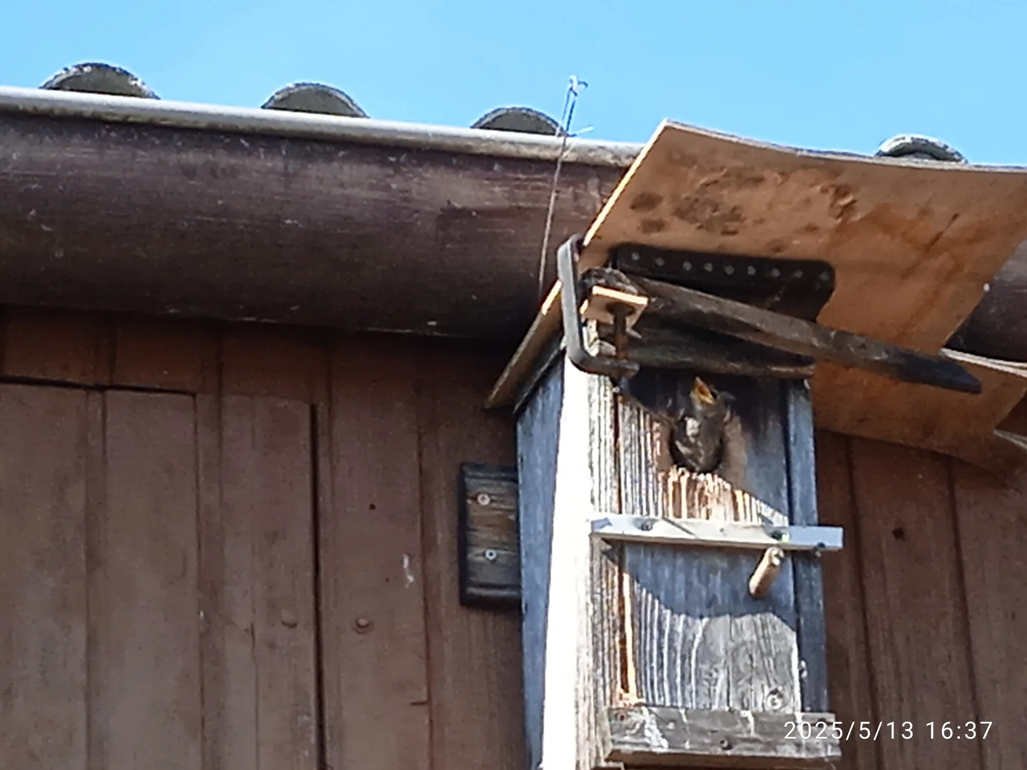 IMG_20250513_163730_1.webp