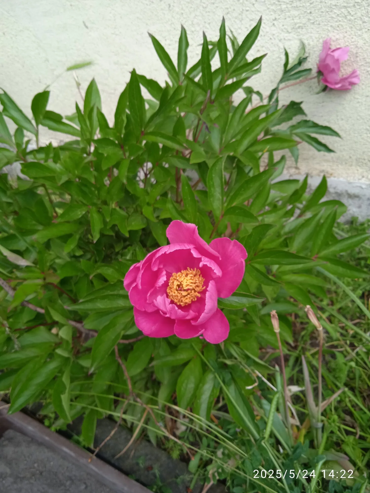 IMG_20250524_142234_1.webp