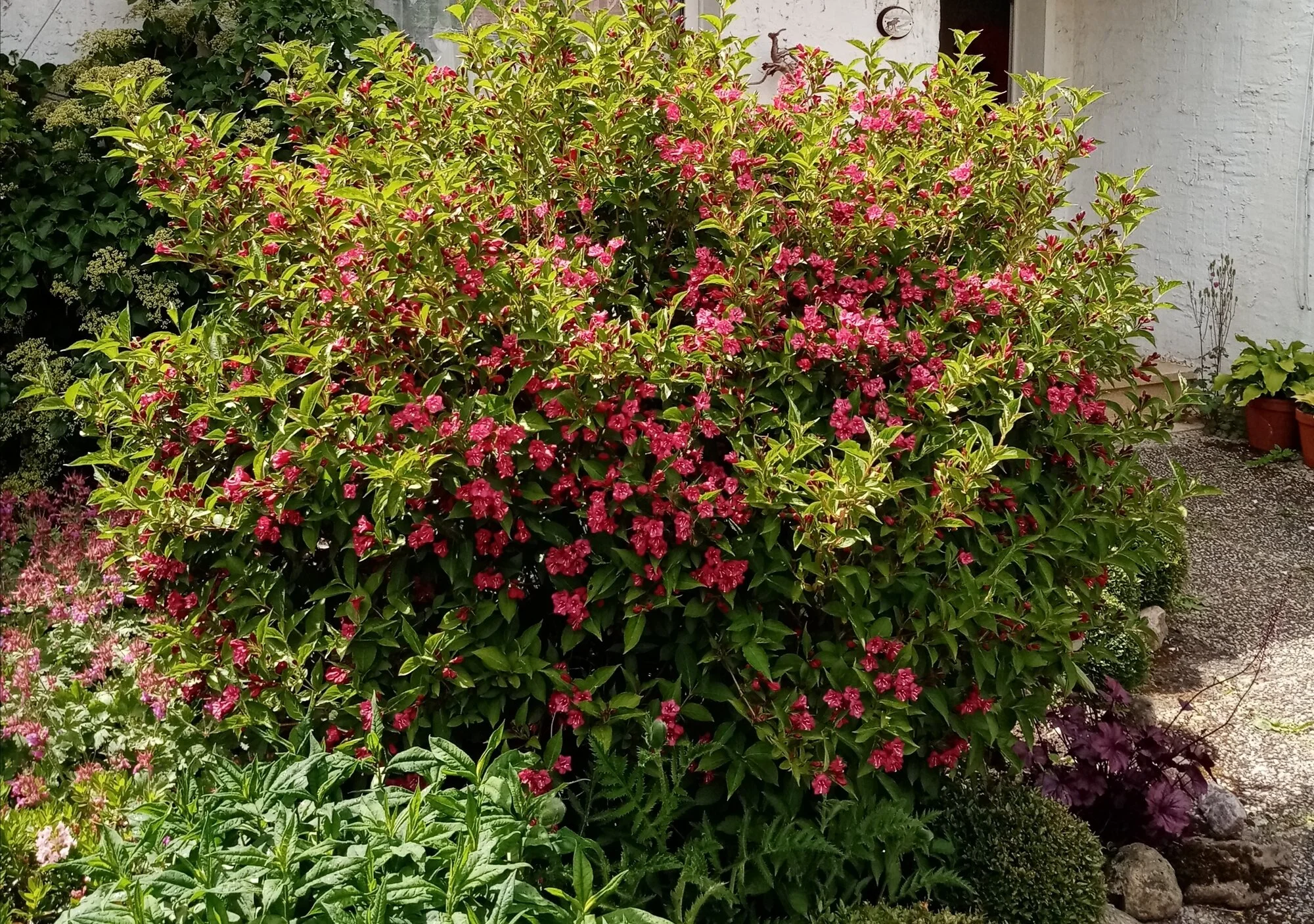 IMG_20250526_044802.webp
