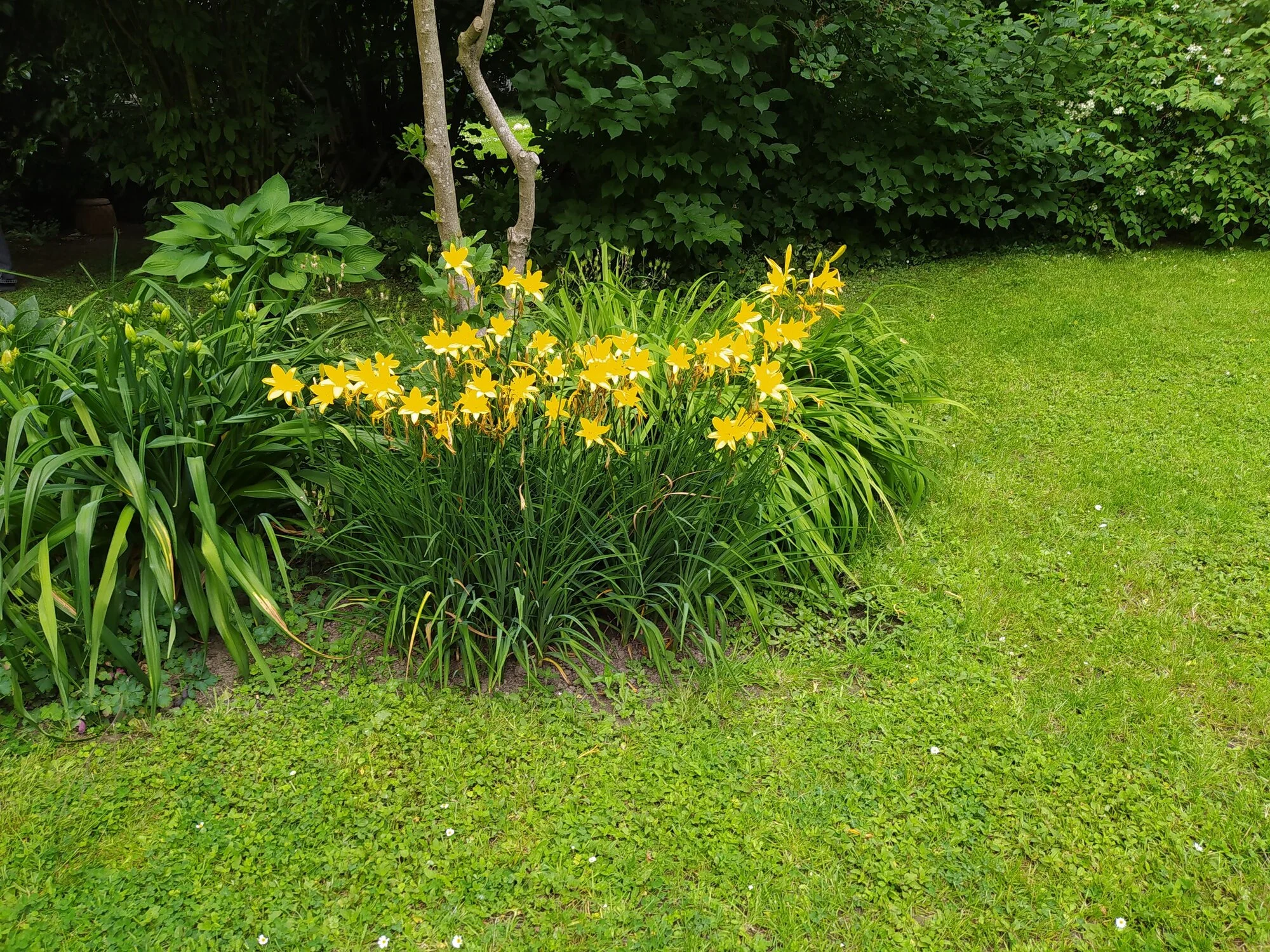 IMG_20250605_164020.webp