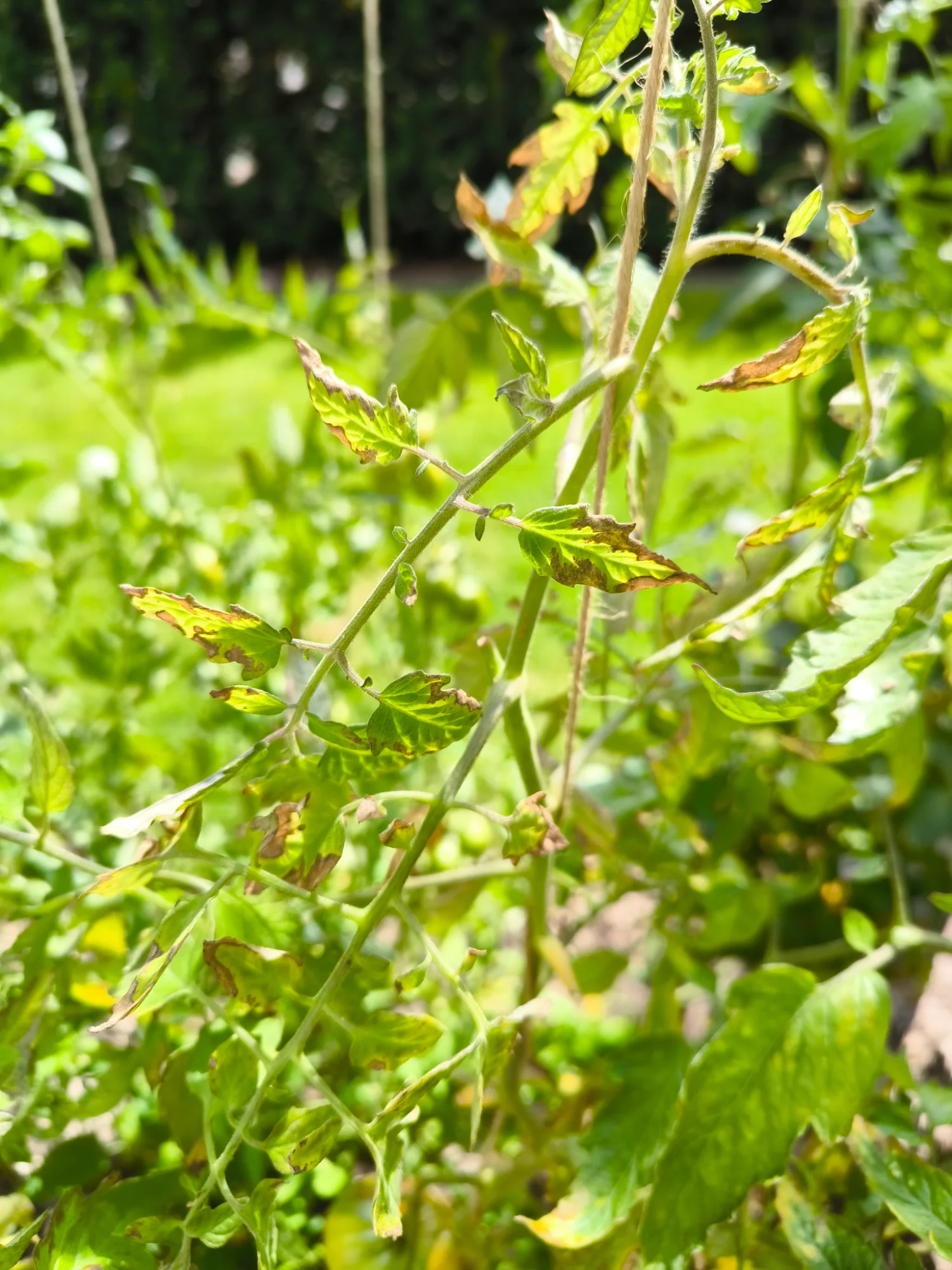 IMG_20250810_142105.webp