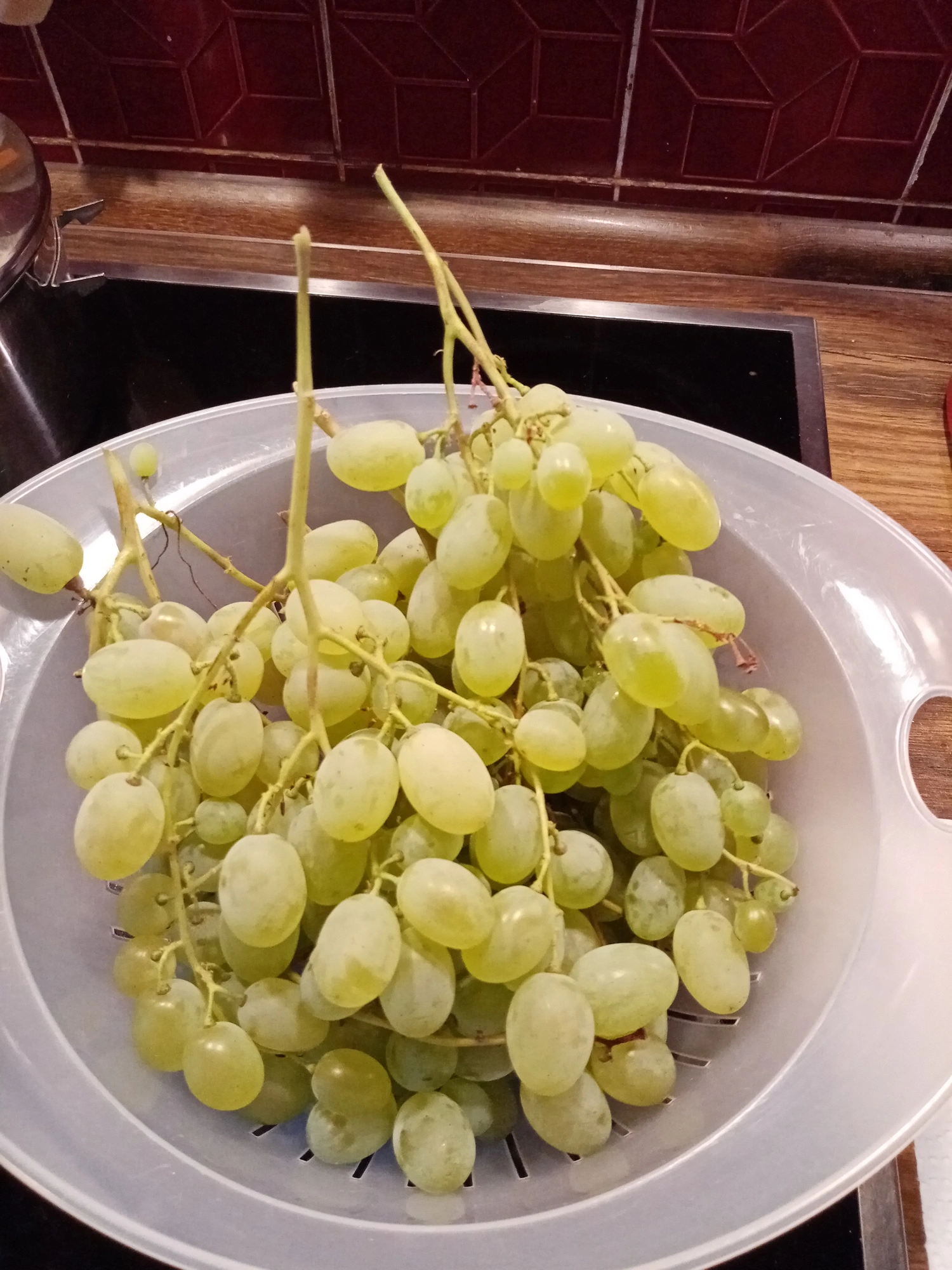 IMG_20251015_175958.webp