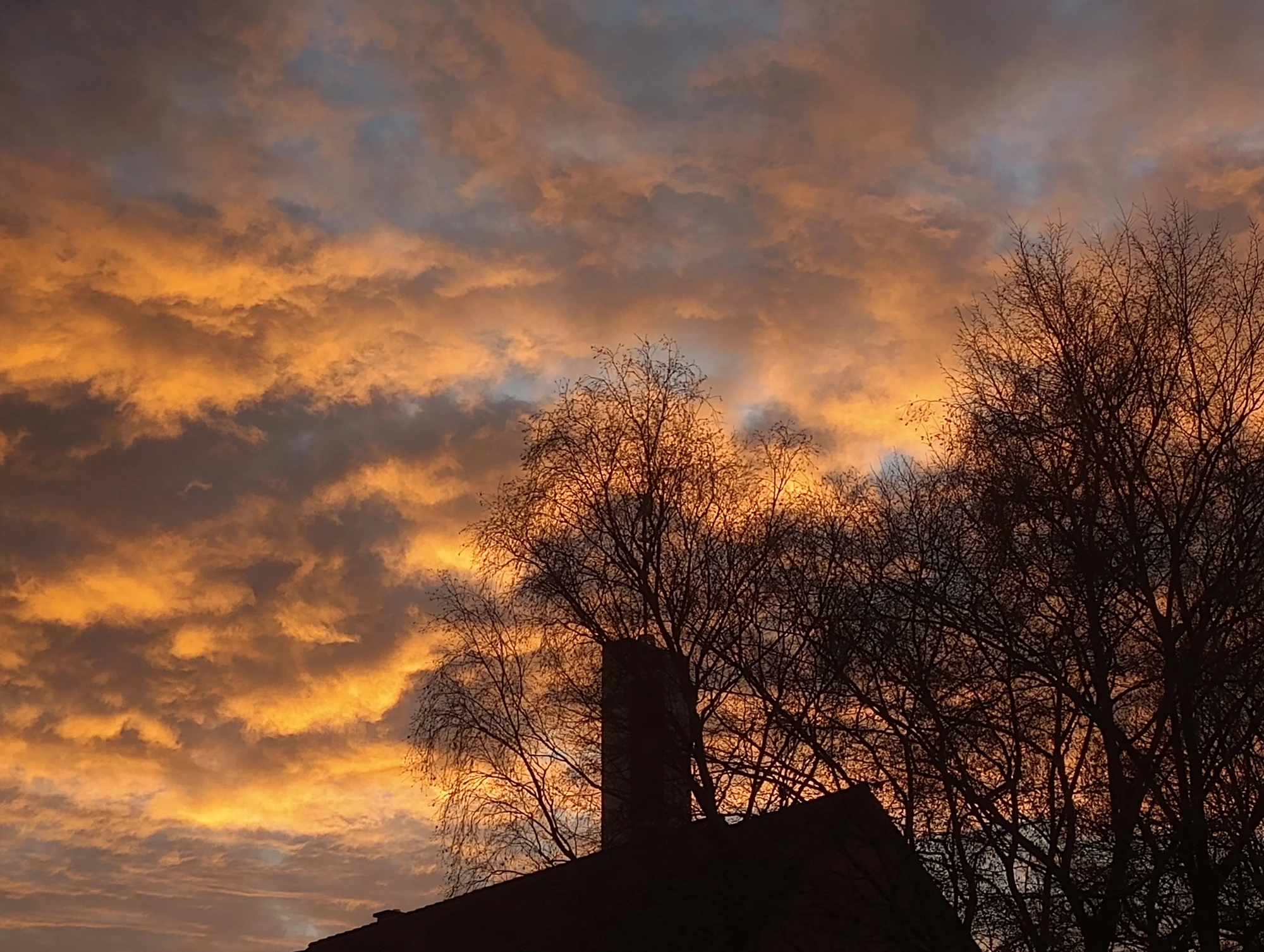 IMG_20251127_081138568 (1).webp