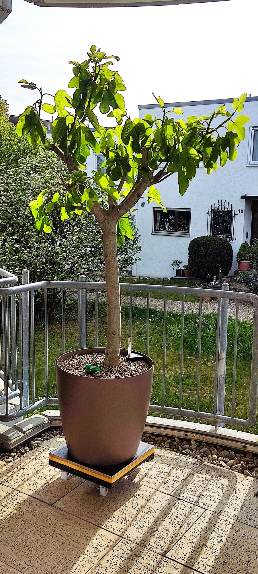 IMG_20260427_174858.webp