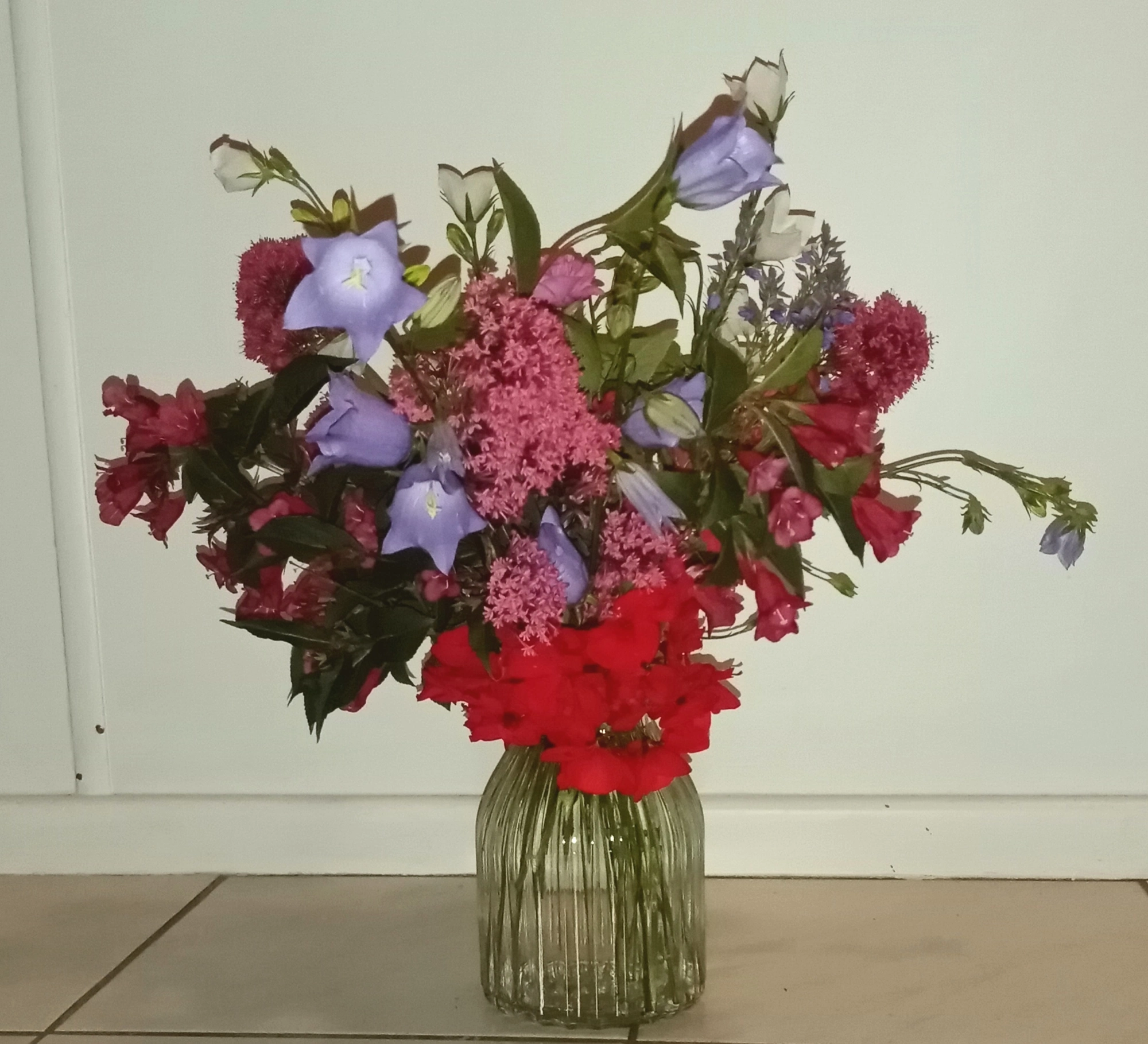 IMG_20260602_025545.webp