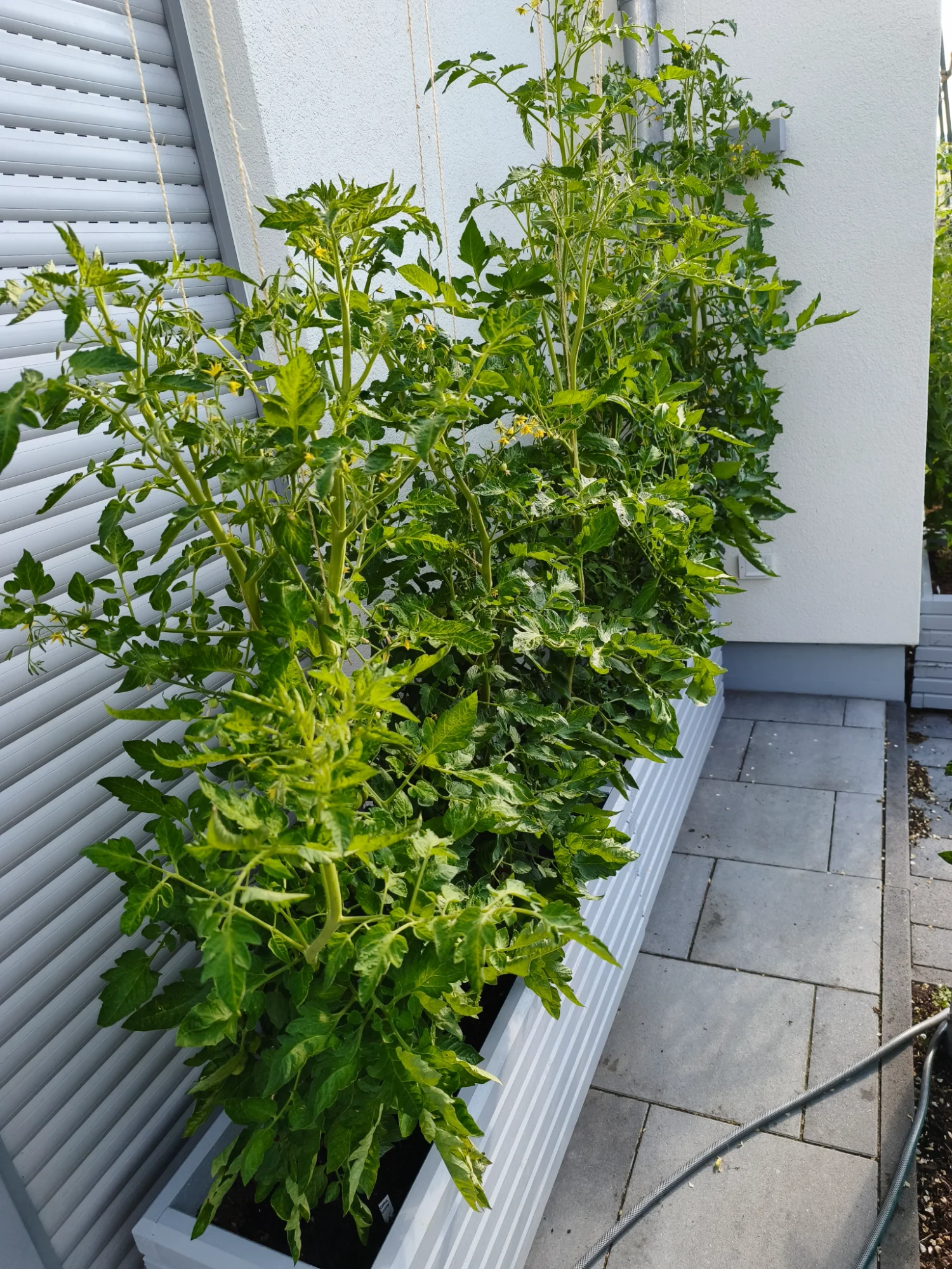 IMG_20260628_084135.webp