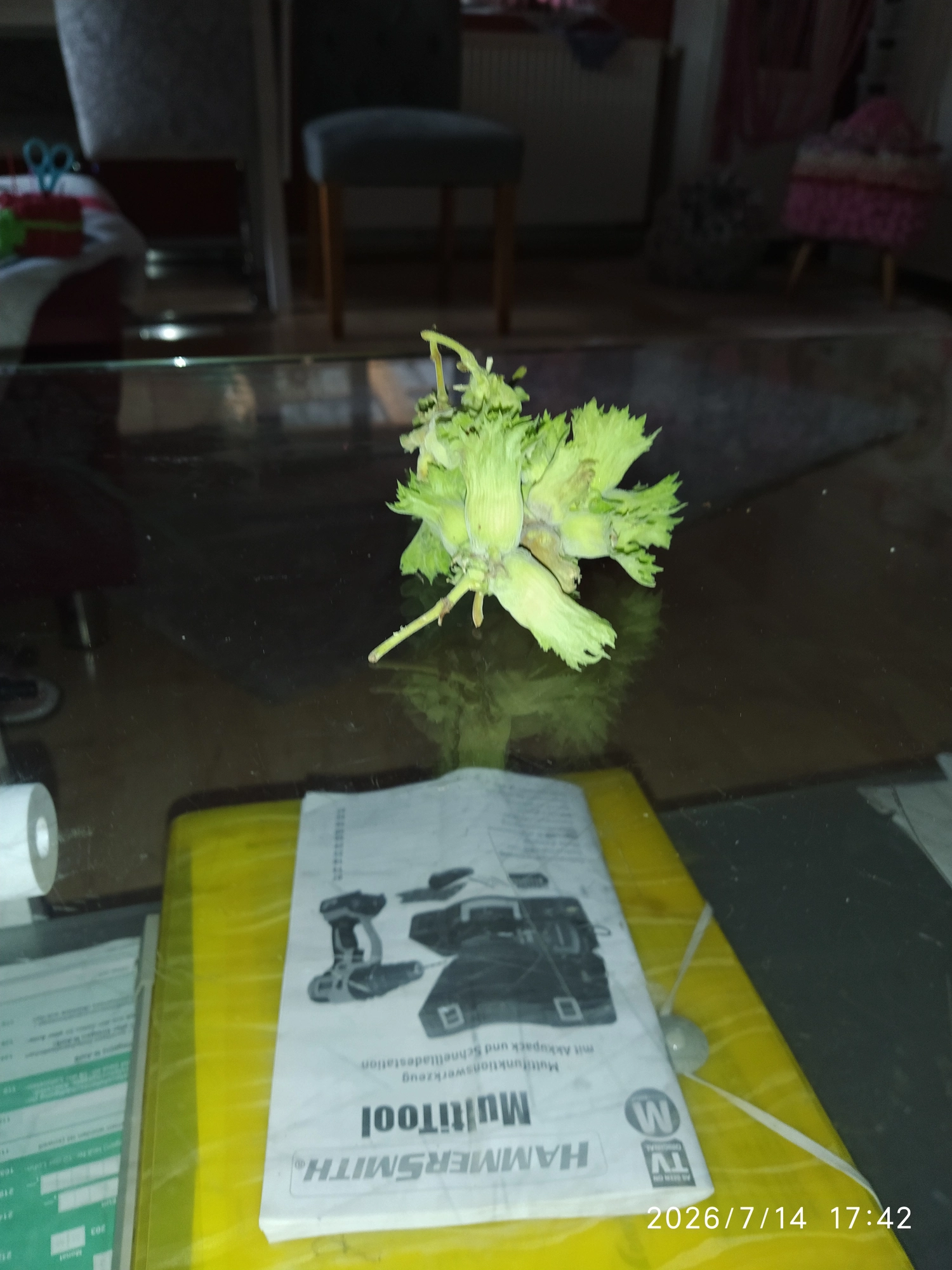 IMG_20260714_174210.webp