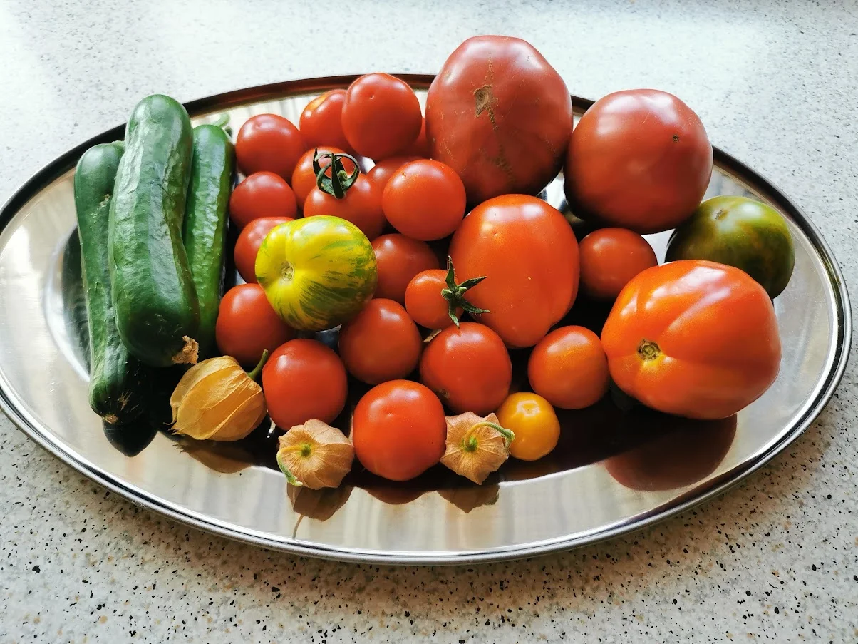 IMG_20260723_095240.webp