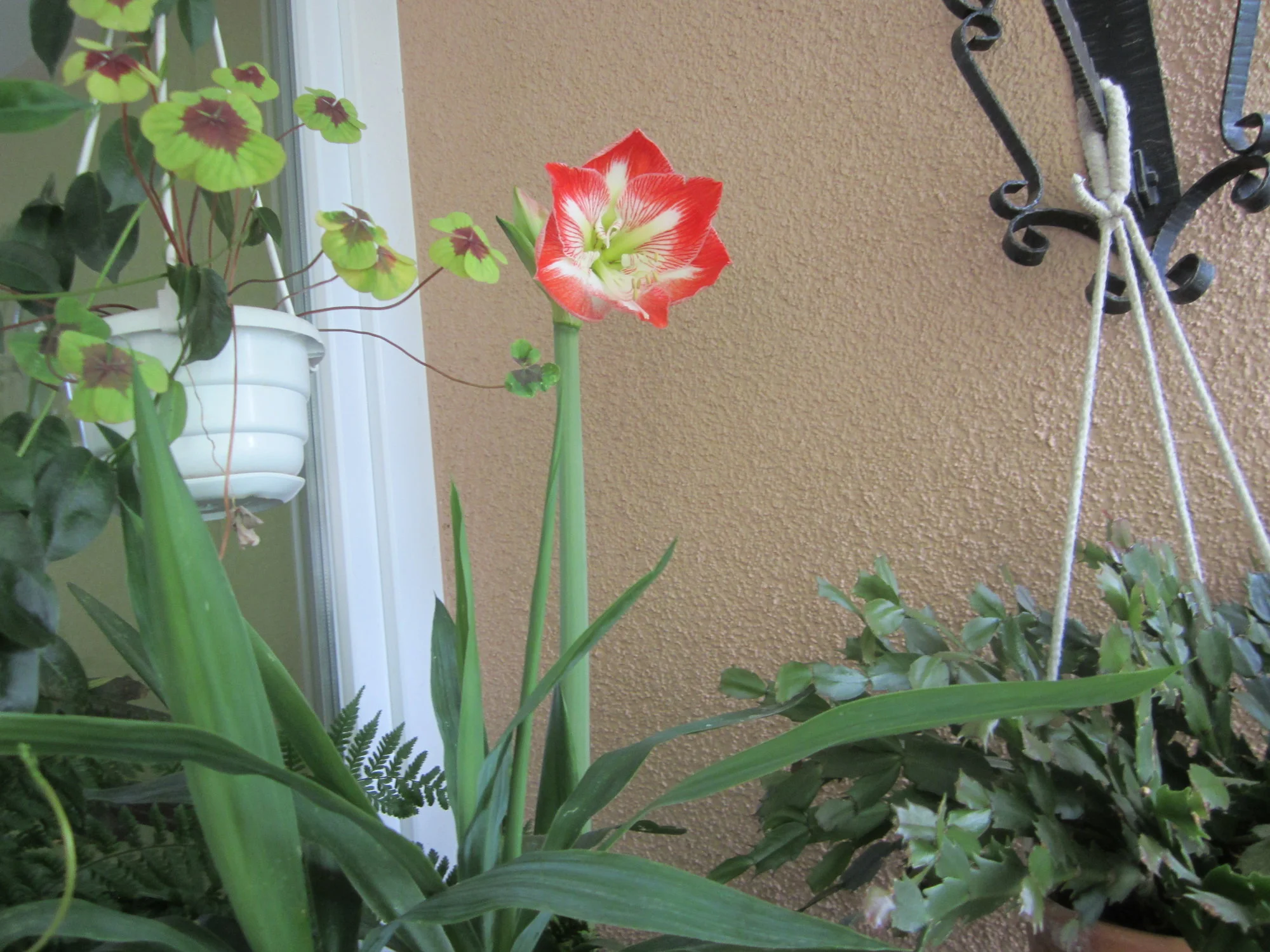 IMG_2031.webp
