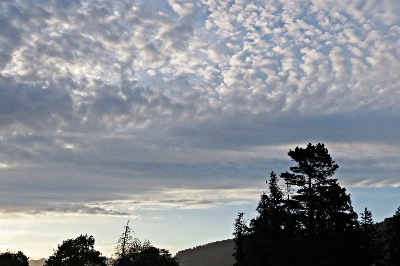 IMG_2120 v (2).webp