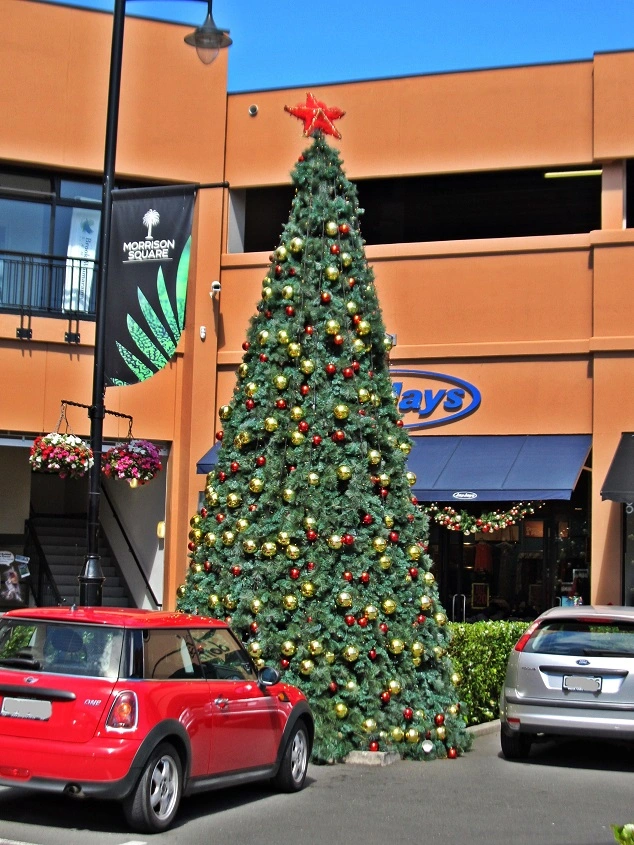 IMG_2173 v (2).webp