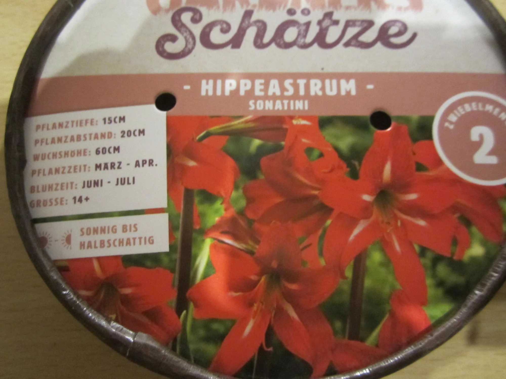 forum.hausgarten.net