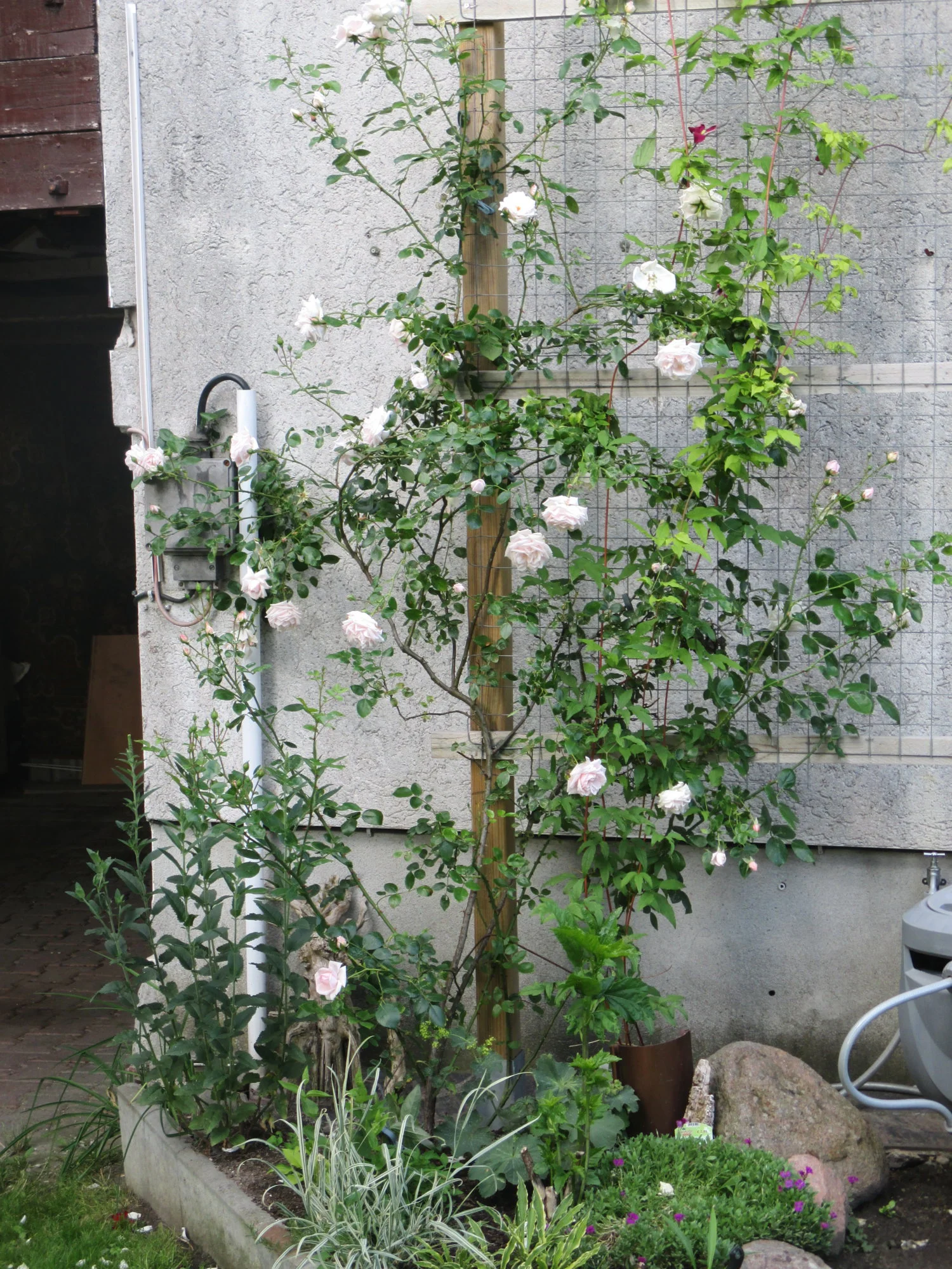 IMG_2208.webp