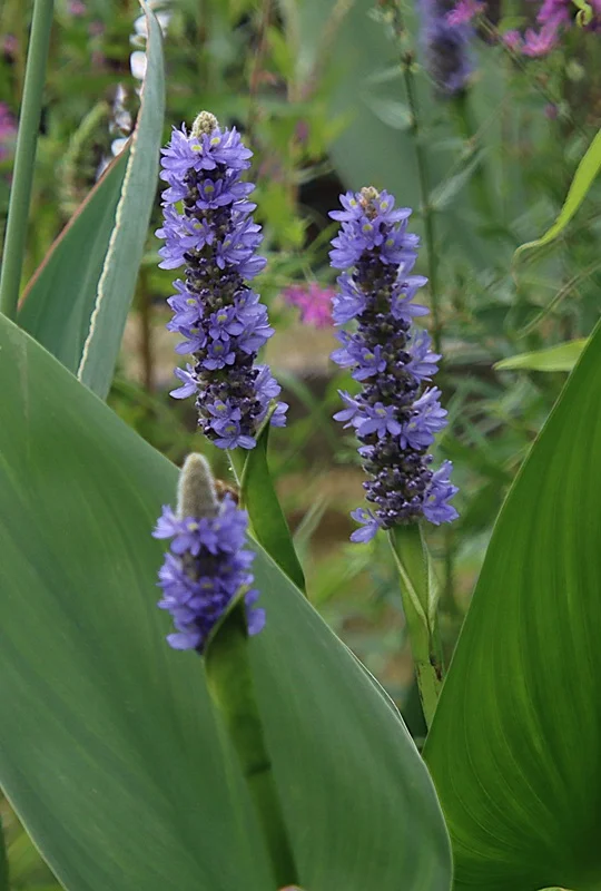 IMG_2253.webp