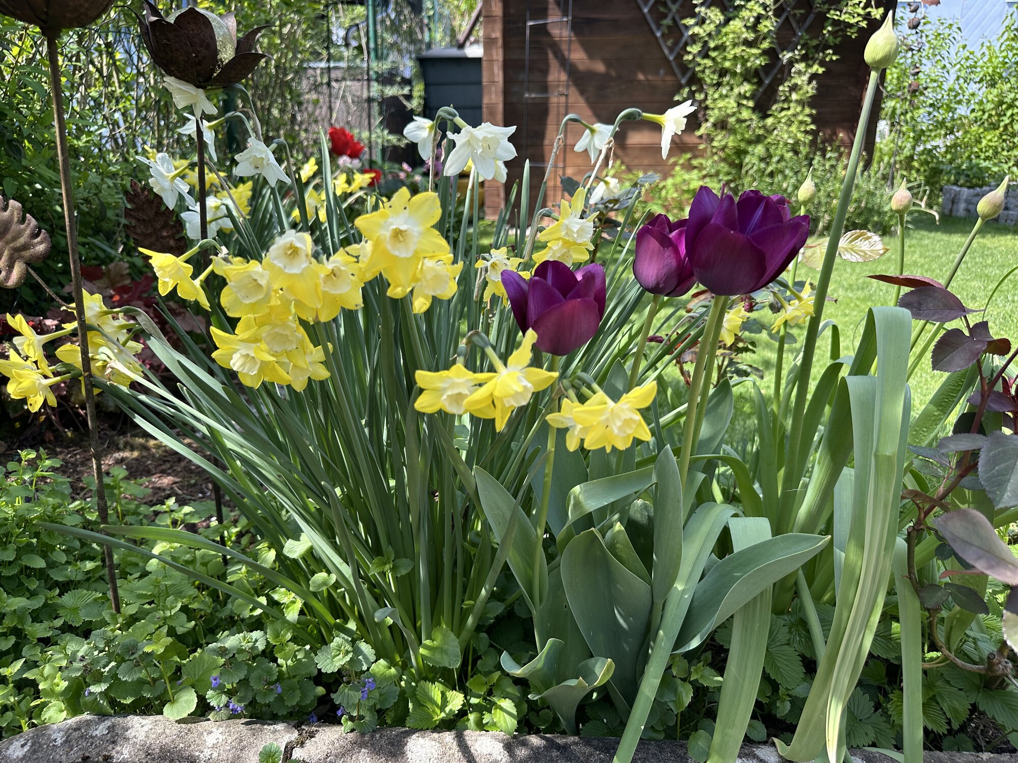 IMG_2272.jpeg