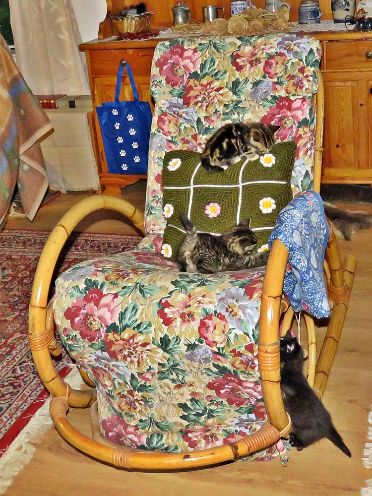 IMG_2293 - Copy v.webp
