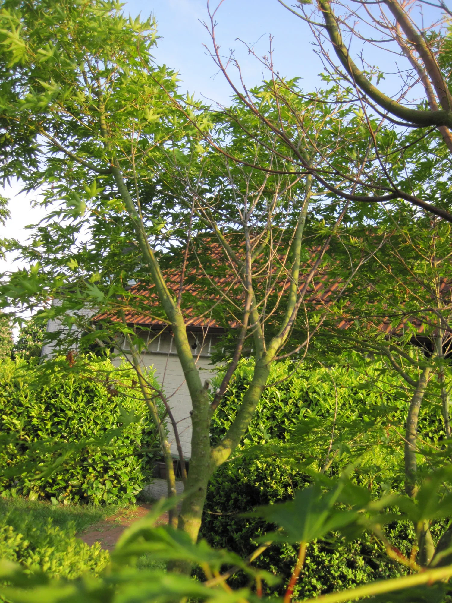 IMG_2493gedreht.webp