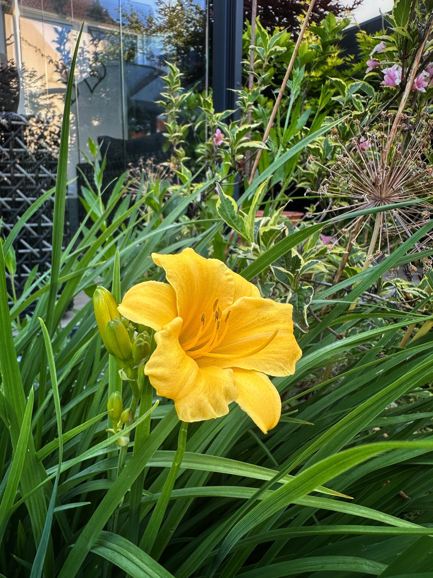 IMG_2494.jpeg