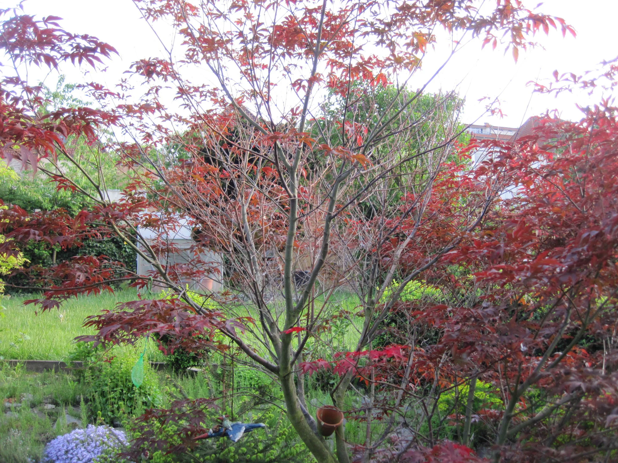 IMG_2501.webp