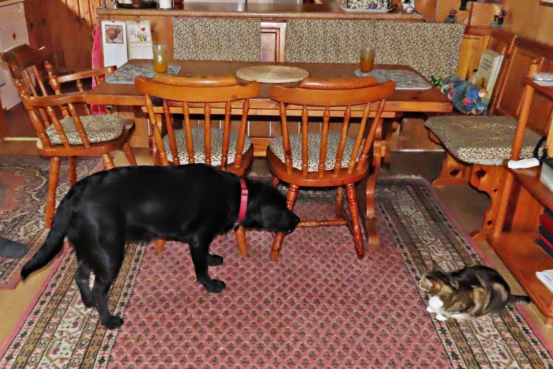 IMG_2560 v (2).webp