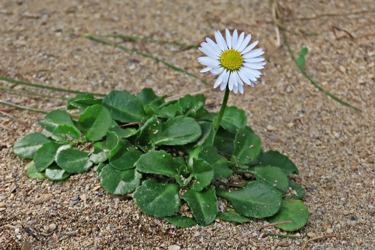 IMG_2841 v (2).webp