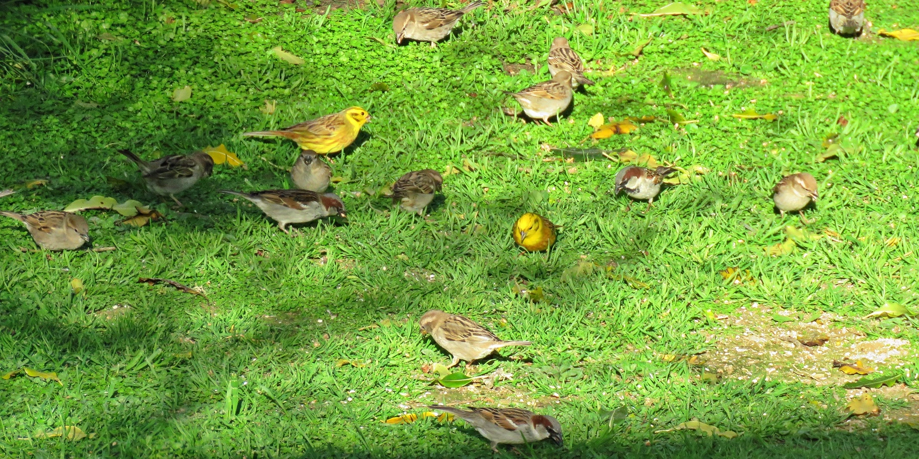 IMG_2989 v (2).webp