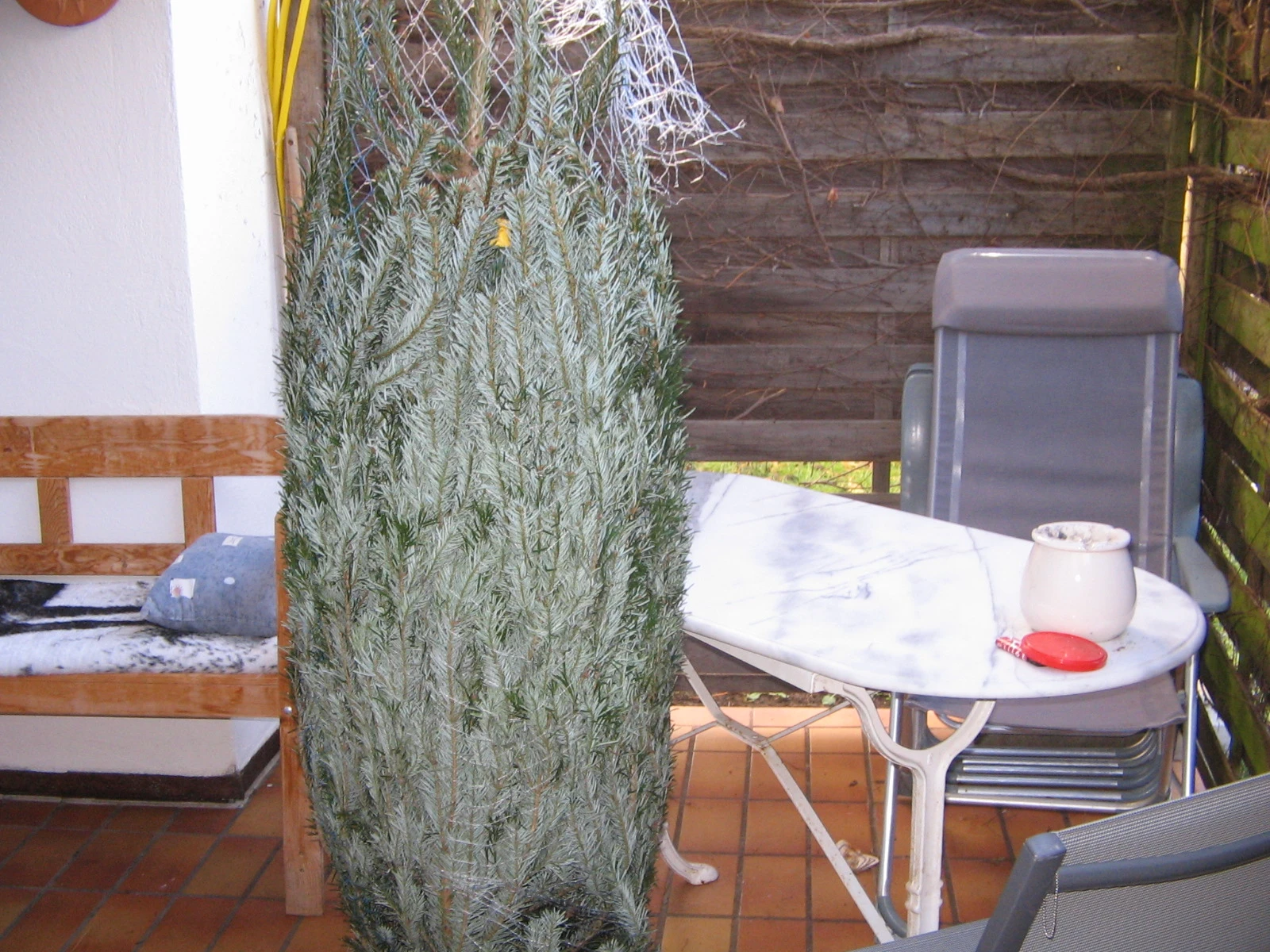 IMG_3024[1].webp